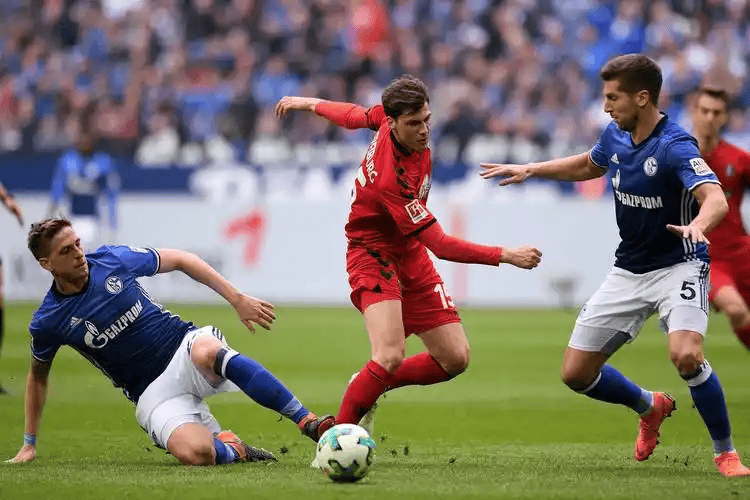 宝威体育-弗赖堡主场力克对手，取得重要胜利(拜仁大胜弗赖堡场上一度出现12人6)